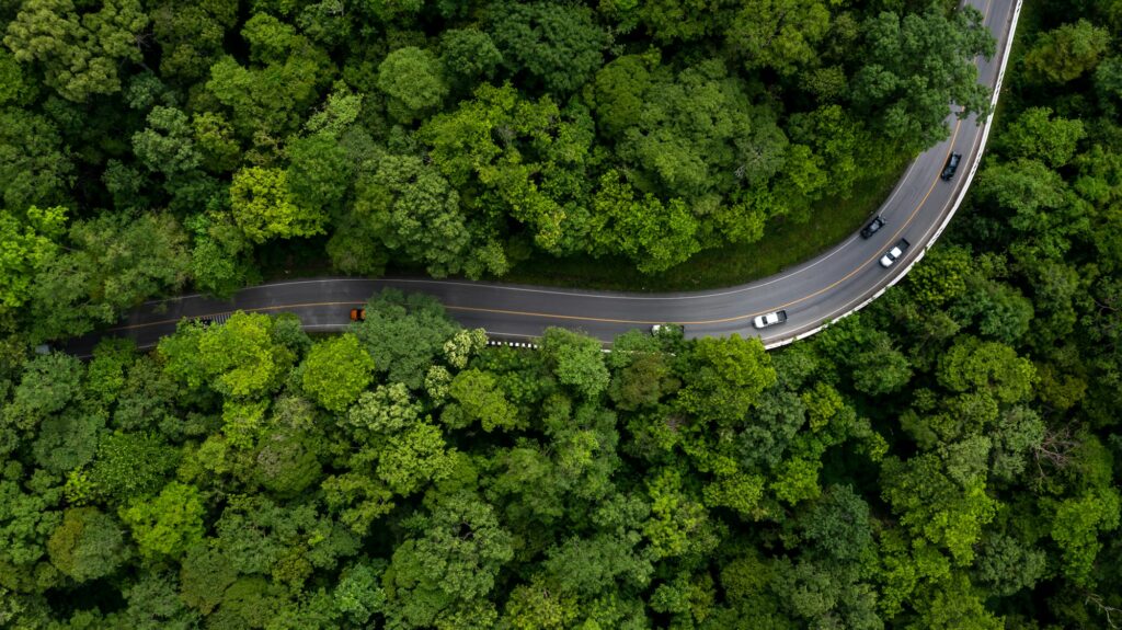 Aerial view green forest with car on the asphalt road, Car drive on the road in the middle of forest